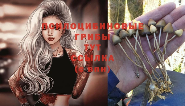 дурь Абинск
