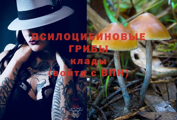 дурь Абинск